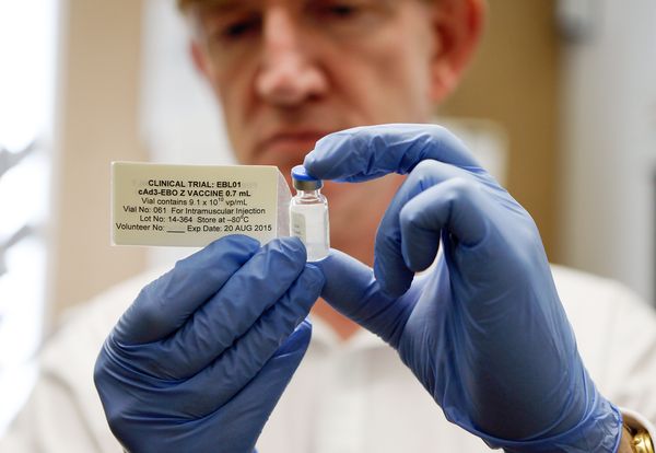 An experimental Ebola vaccine has been developed by the U.S. National Institutes of Health and pharmaceutical company GlaxoSmithKline. Photograph by Steve Parsons, AP